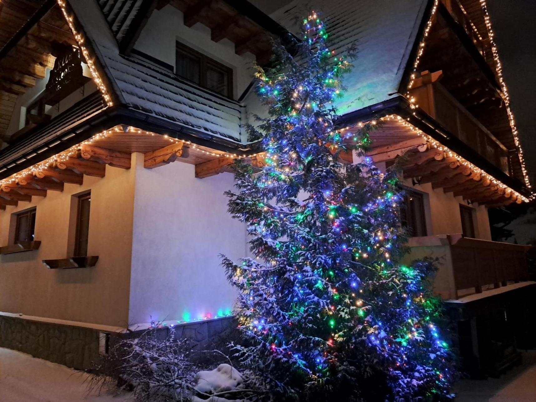 Wisienka * Zakopane